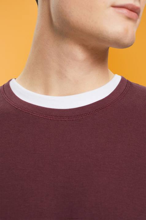 manga comprida vermelho bordeaux homens Esprit top manga longa waffle piquê NBHL825